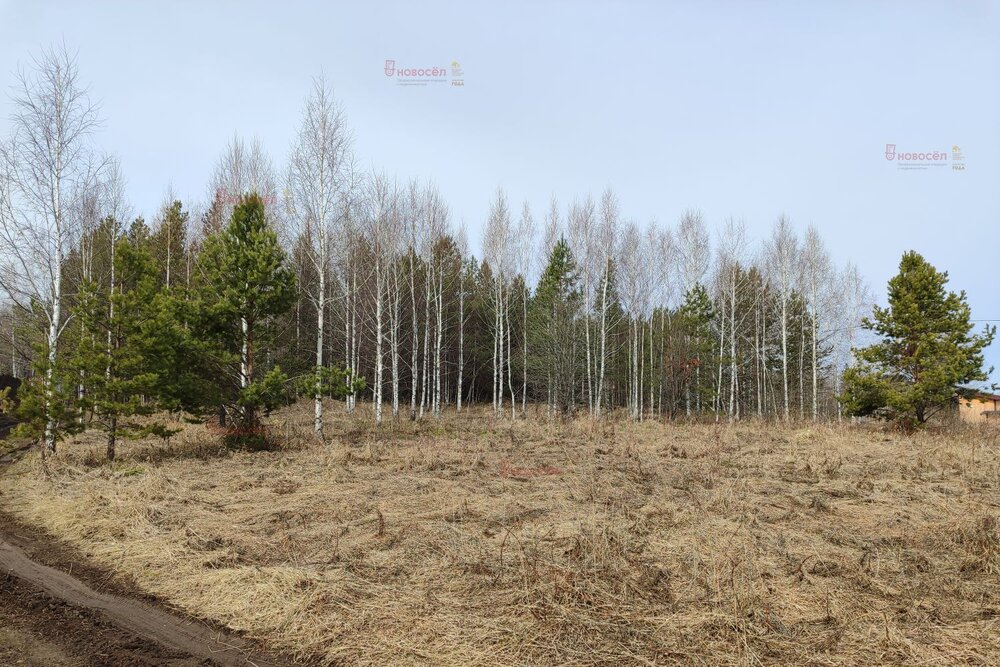 с. Кунгурка, ул. Алмазная (городской округ Ревда) - фото земельного участка (1)