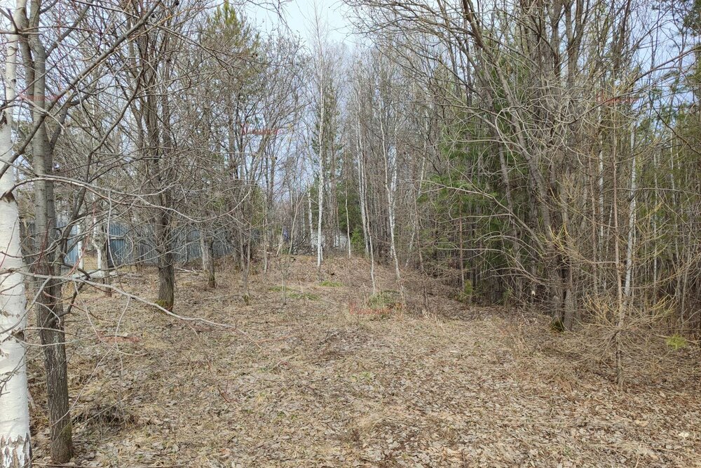 с. Кунгурка, ул. Алмазная (городской округ Ревда) - фото земельного участка (3)