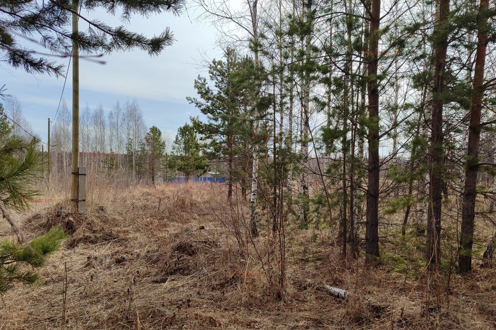 с. Кунгурка, ул. Алмазная (городской округ Ревда) - фото земельного участка (4)