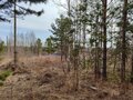 Продажа земельного участка: с. Кунгурка, ул. Алмазная (городской округ Ревда) - Фото 4