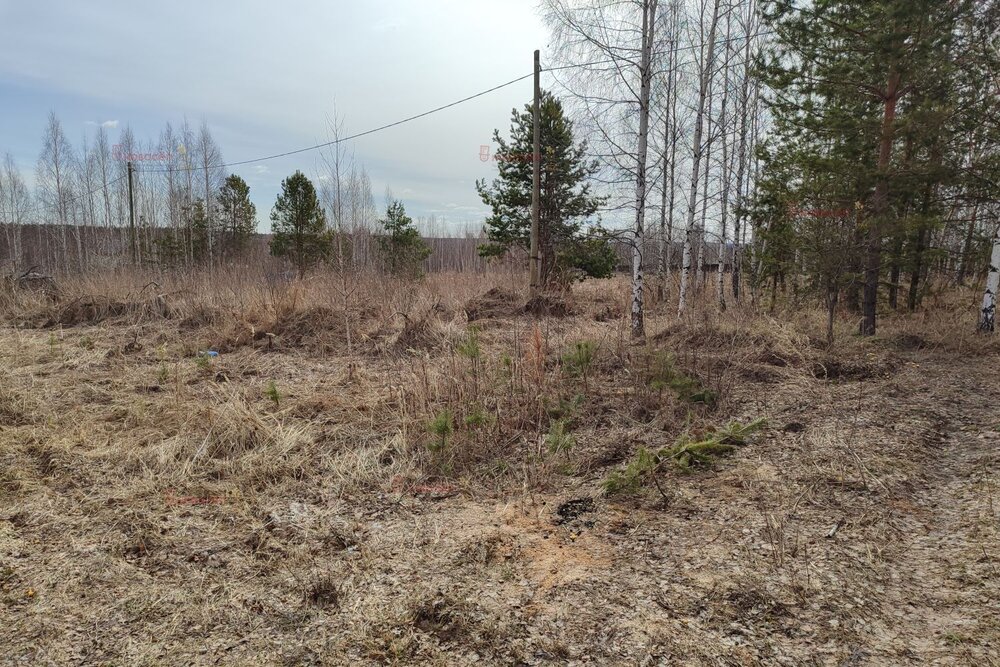 с. Кунгурка, ул. Алмазная (городской округ Ревда) - фото земельного участка (6)