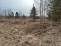 Продажа земельного участка: с. Кунгурка, ул. Алмазная (городской округ Ревда) - Фото 6