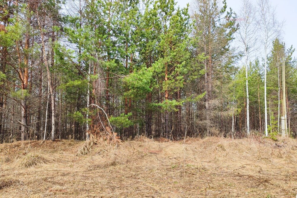 с. Кунгурка, ул. Алмазная (городской округ Ревда) - фото земельного участка (7)