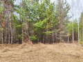 Продажа земельного участка: с. Кунгурка, ул. Алмазная (городской округ Ревда) - Фото 7