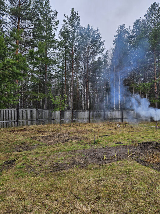 г. Первоуральск, СНТ Вершина-2 (городской округ Первоуральск) - фото сада (5)