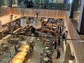 Аренда торговой площади: Екатеринбург, ул. Боевых дружин, 20 (Центр) - Фото 4