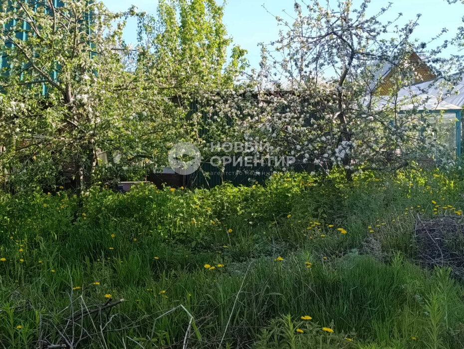 г. Березовский, к/с  № 77 Медик (городской округ Березовский) - фото сада (8)