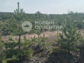 Продажа земельного участка: Екатеринбург, ул. Красная (Горный щит) - Фото 3