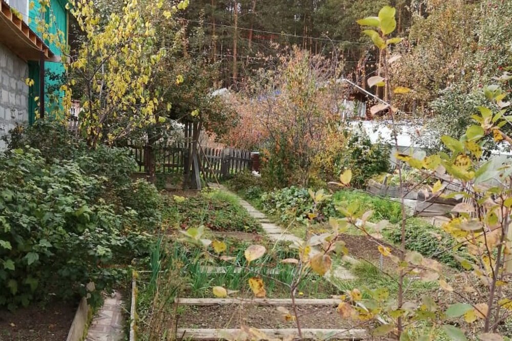 г. Березовский, Коллективный сад №37 (городской округ Березовский) - фото сада (3)