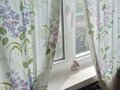 Продажа садового участка: г. Березовский, Коллективный сад №37 (городской округ Березовский) - Фото 7