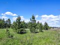 Продажа земельного участка: Екатеринбург, ул. 16-я Баритова, 24 (Полеводство) - Фото 7
