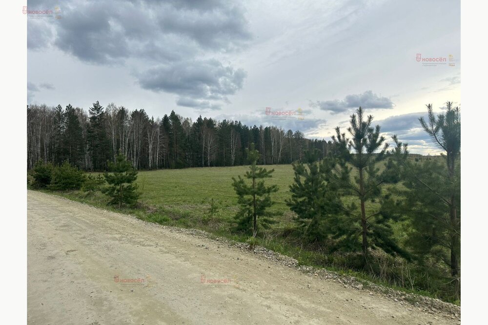 п. Становая, ул. Забайкальская, 17 (городской округ Березовский) - фото земельного участка (4)