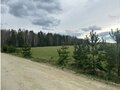 Продажа земельного участка: п. Становая, ул. Забайкальская, 17 (городской округ Березовский) - Фото 4