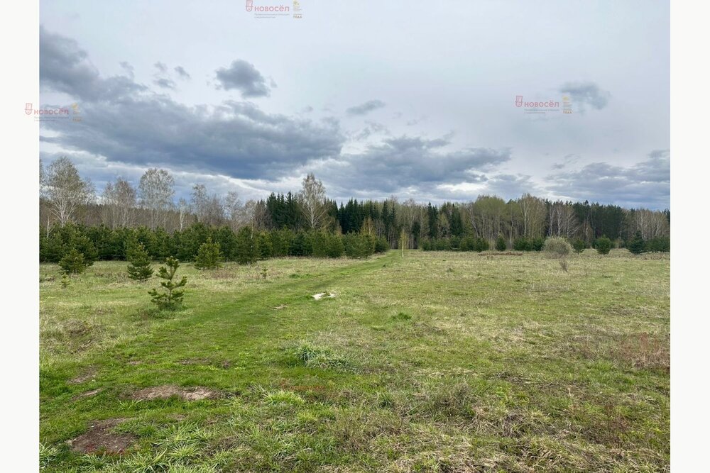 п. Становая, ул. Забайкальская, 17 (городской округ Березовский) - фото земельного участка (6)