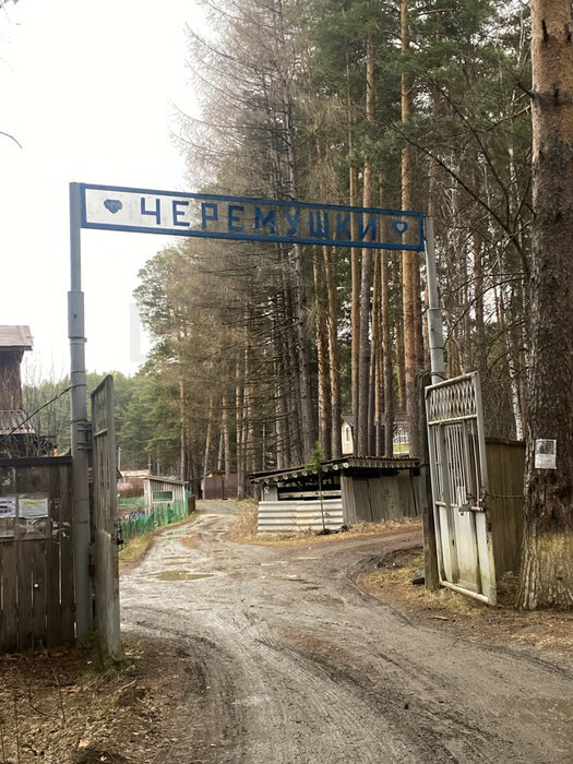 г. Сысерть, К/С Черемушки, уч. 2 км севернее г.Сысерть, участок 26 (городской округ Сысертский) - фото сада (1)