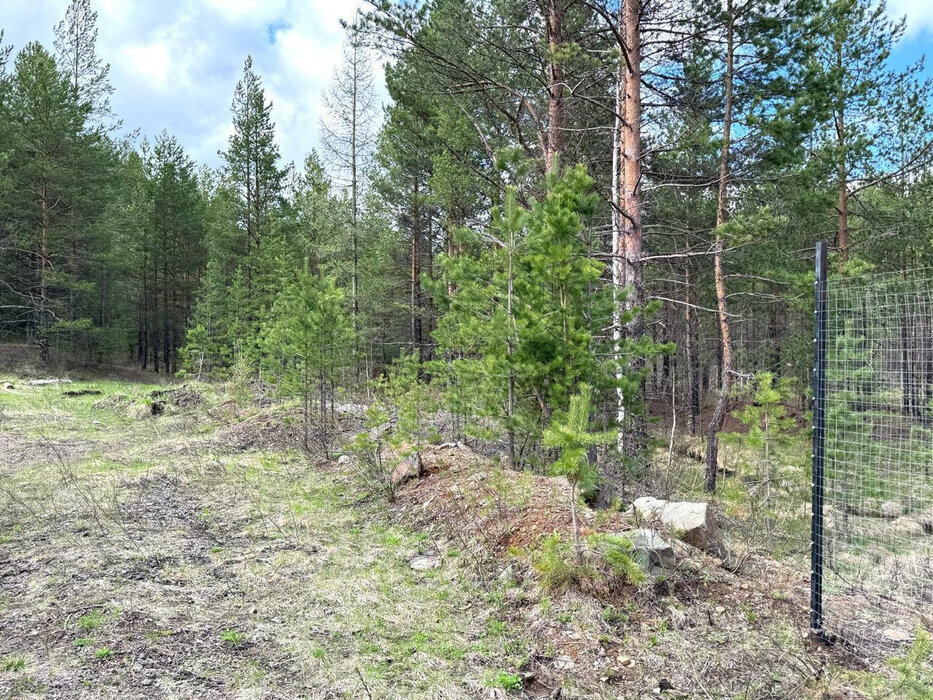 п. Уралец, ул. Трудовая, 60 (городской округ Нижний Тагил) - фото земельного участка (2)