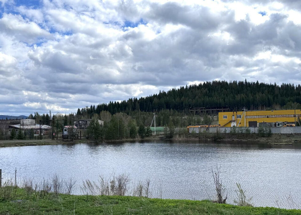 п. Уралец, ул. Трудовая, 60 (городской округ Нижний Тагил) - фото земельного участка (5)