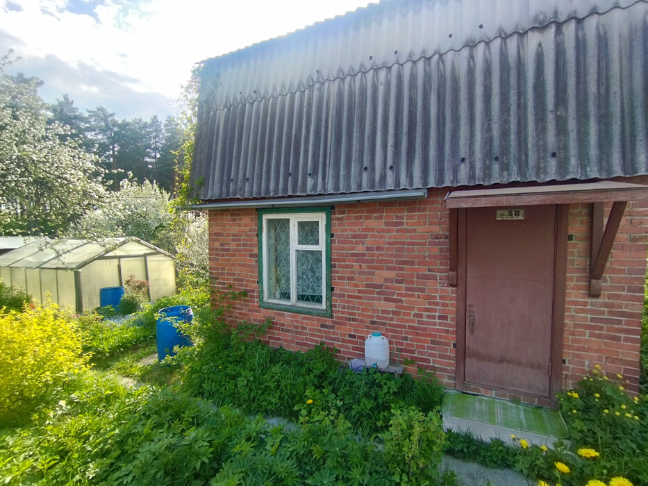 Екатеринбург, СНТ Европейское, уч. 50 (Калиновский) - фото сада (3)