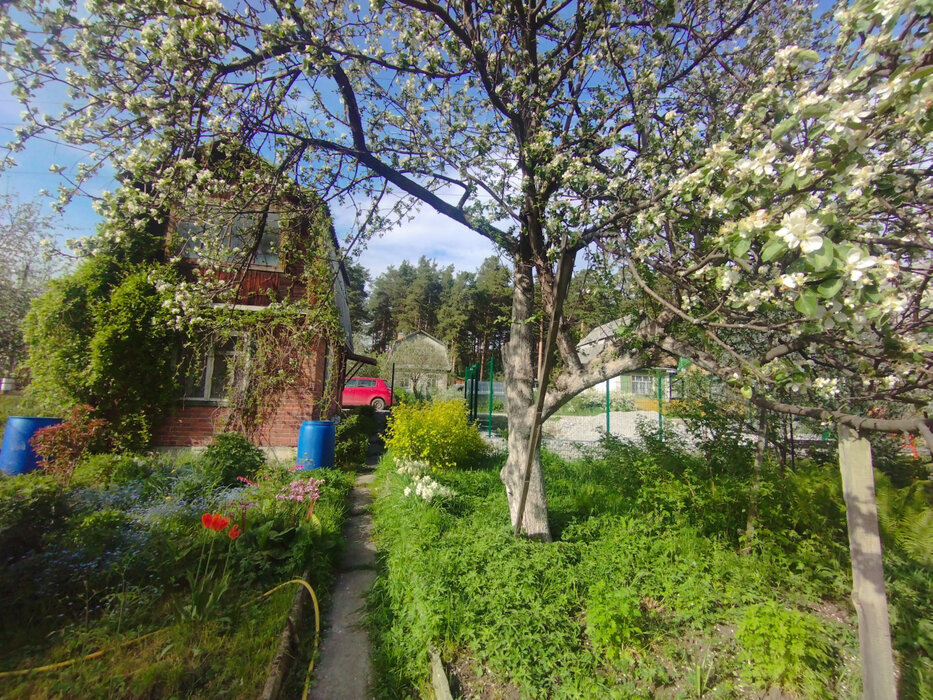 Екатеринбург, СНТ Европейское, уч. 50 (Калиновский) - фото сада (6)