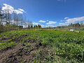 Продажа садового участка: Екатеринбург, ДСК Патра - Фото 1