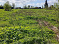 Продажа земельного участка: г. Нижние Серги, ул. Пролетарская, 42 (Нижнесергинский район) - Фото 3