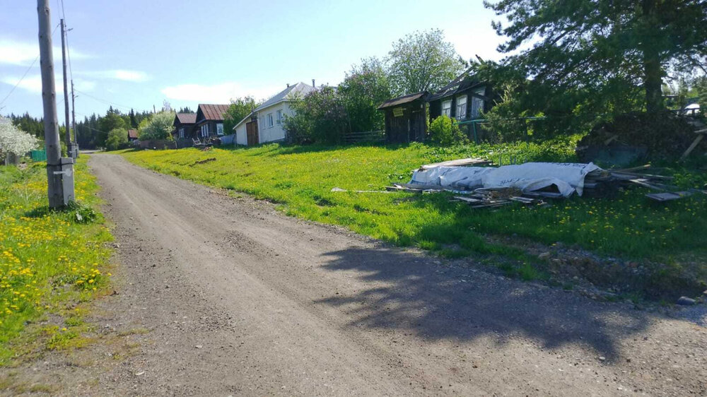 г. Нижние Серги, ул. Пролетарская, 42 (Нижнесергинский район) - фото земельного участка (4)