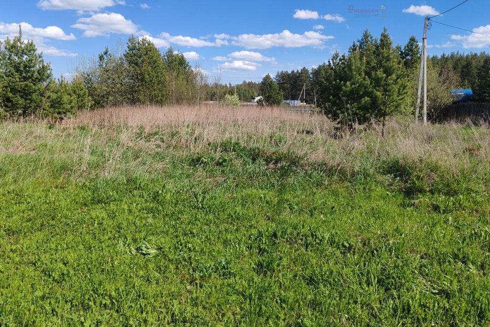 Екатеринбург, к/с Горнощитский, ул. Ельничная, 60 (Горный щит) - фото сада (4)