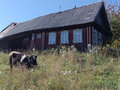 Продажа дома: п. Шаля, ул. Урицкого,   (городской округ Шалинский) - Фото 3
