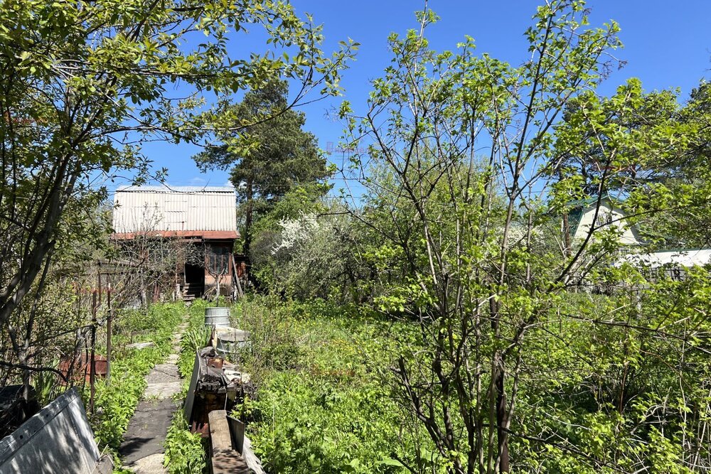 с. Большебрусянское, к/с Путеец (городской округ Белоярский) - фото сада (2)