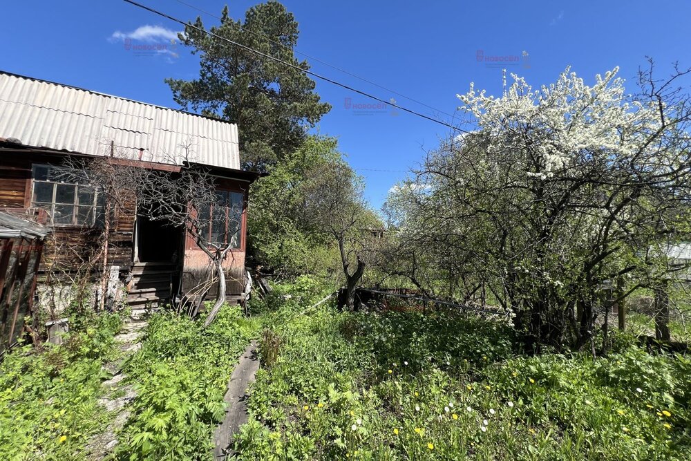 с. Большебрусянское, к/с Путеец (городской округ Белоярский) - фото сада (6)