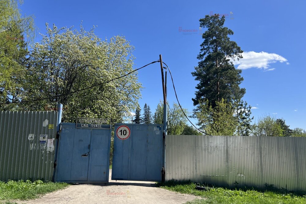 с. Большебрусянское, к/с Путеец (городской округ Белоярский) - фото сада (8)