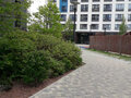 Аренда квартиры: Екатеринбург, ул. Щербакова, 77/1 (Уктус) - Фото 7