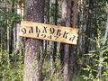 Продажа дома: п. Ольховка (г.о. Пышма), ул. Озерная, 15 (городской округ Верхняя Пышма) - Фото 2