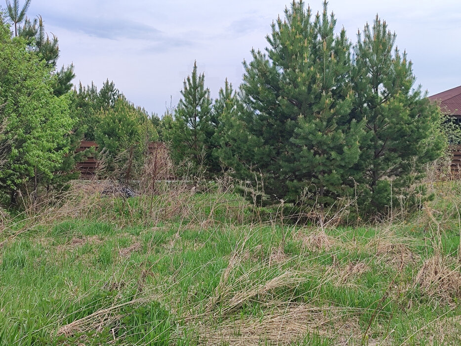 к.п. Луговое, ул. Раздольная, 18 (городской округ Полевской, с. Курганово) - фото земельного участка (4)