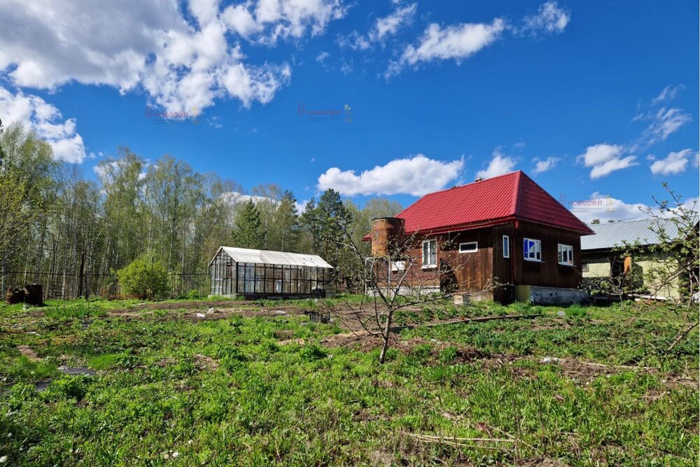 Екатеринбург, Лесная поляна  (Горный щит) - фото сада (3)