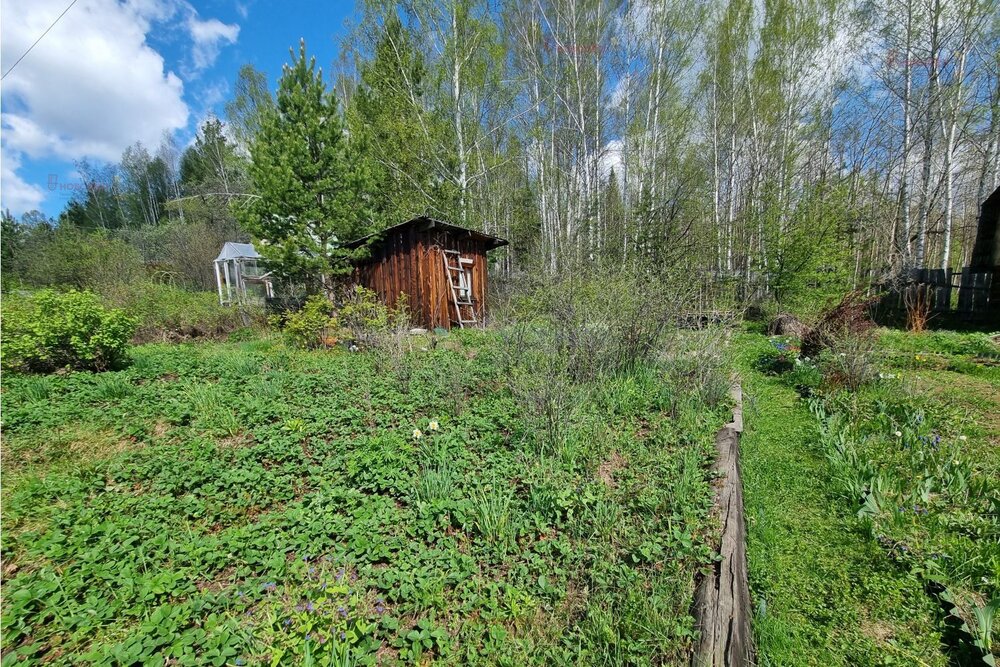 п. Канал, КС Аметист, уч. 123 (городской округ Первоуральск) - фото сада (5)