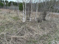 Продажа садового участка: Екатеринбург, к/с ПАТРА, уч. 65 - Фото 2