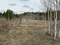 Продажа садового участка: Екатеринбург, к/с ПАТРА, уч. 65 - Фото 3