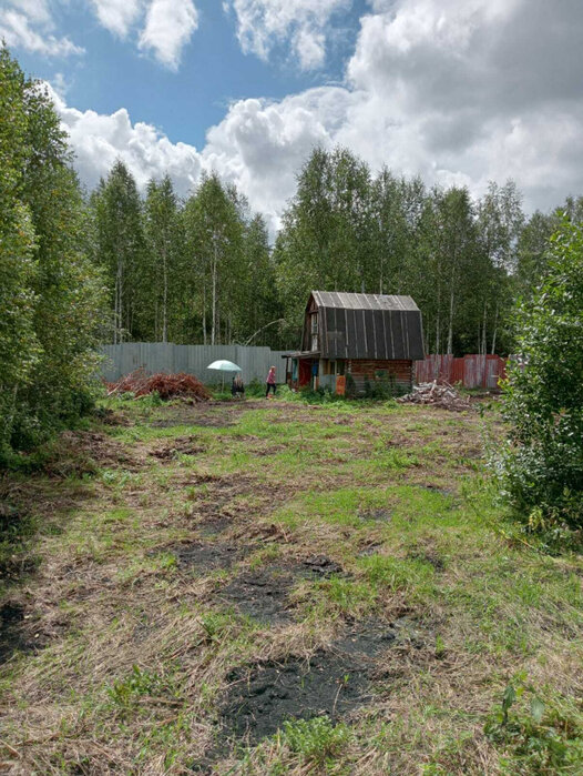 с. Кунгурка, СНТ Берёзовая Роща (городской округ Ревда) - фото сада (1)