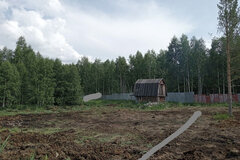 с. Кунгурка, СНТ Берёзовая Роща (городской округ Ревда) - фото сада