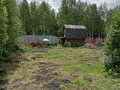 Продажа садового участка: с. Кунгурка, СНТ Берёзовая Роща (городской округ Ревда) - Фото 1