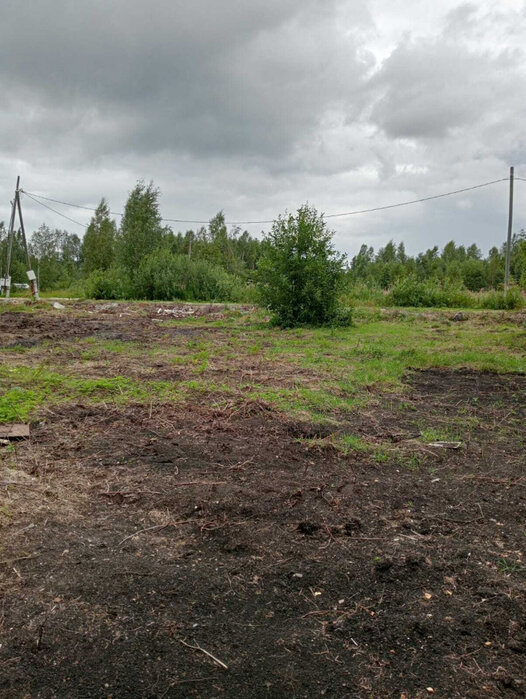 с. Кунгурка, СНТ Берёзовая Роща (городской округ Ревда) - фото сада (5)