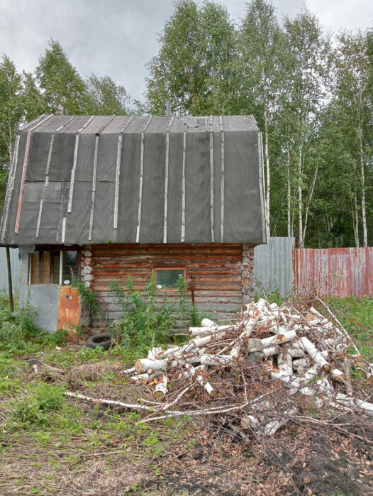 с. Кунгурка, СНТ Берёзовая Роща (городской округ Ревда) - фото сада (6)