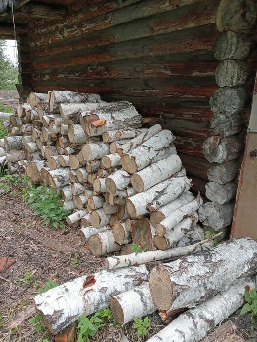 с. Кунгурка, СНТ Берёзовая Роща (городской округ Ревда) - фото сада (7)