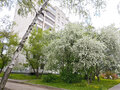 Аренда комнаты: Екатеринбург, ул. Коминтерна, 18 (Втузгородок) - Фото 2