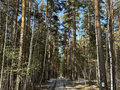 Продажа садового участка: г. Березовский, коллективный сад №28, участок №46 (городской округ Березовский) - Фото 1