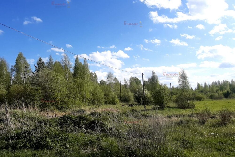 п. Монетный, ул. Февральская, 12 (городской округ Березовский) - фото земельного участка (1)
