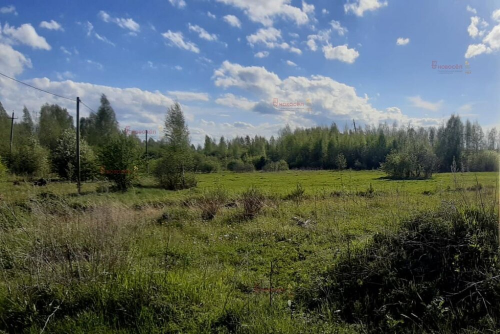 п. Монетный, ул. Февральская, 12 (городской округ Березовский) - фото земельного участка (3)