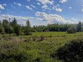 Продажа земельного участка: п. Монетный, ул. Февральская, 12 (городской округ Березовский) - Фото 3