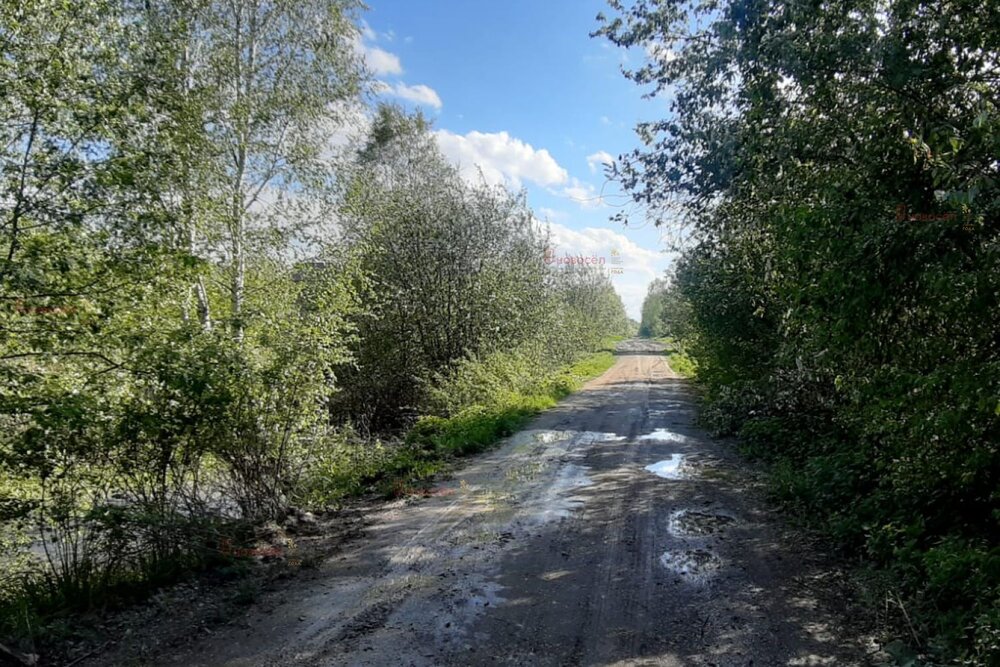 п. Монетный, ул. Февральская, 12 (городской округ Березовский) - фото земельного участка (4)